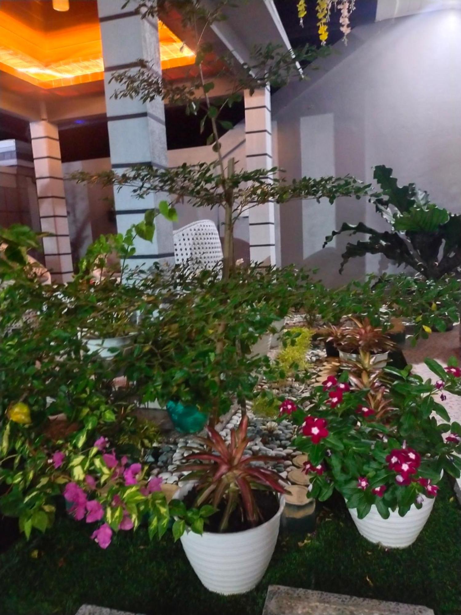 La Geiro Villa ลาบวนบาโจ ภายนอก รูปภาพ