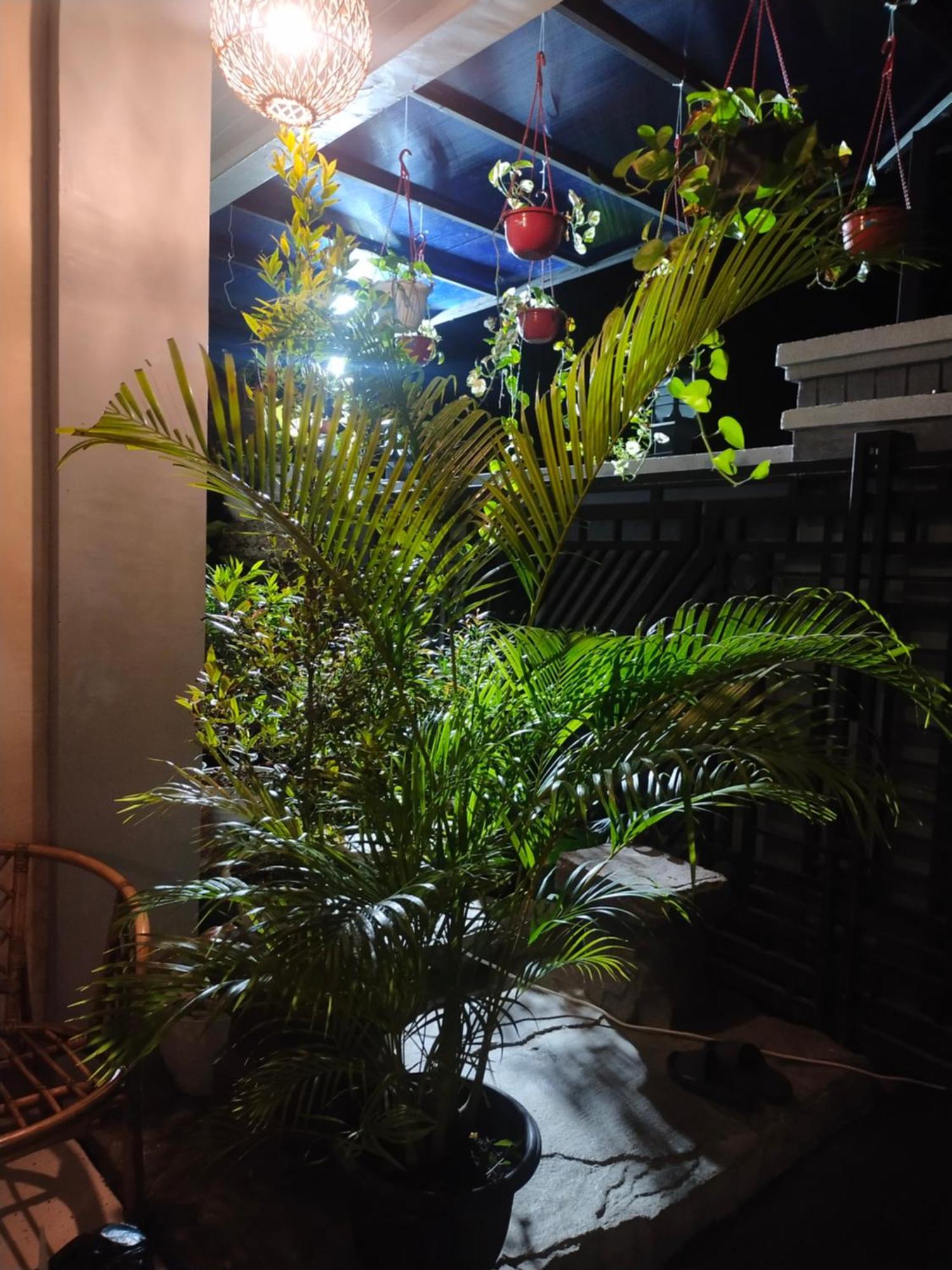La Geiro Villa ลาบวนบาโจ ภายนอก รูปภาพ