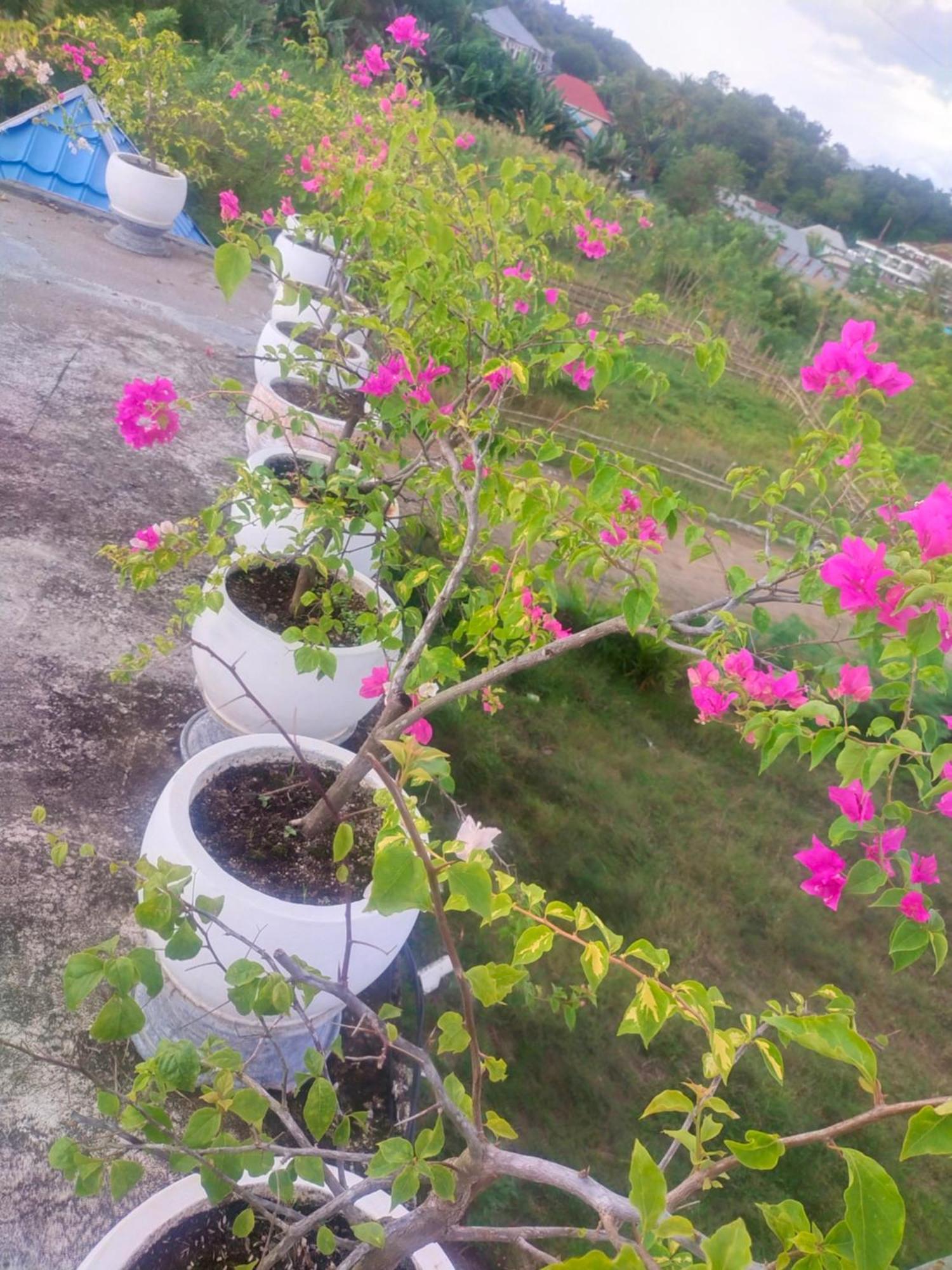 La Geiro Villa ลาบวนบาโจ ภายนอก รูปภาพ